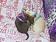 -images-Metal-Worx-13metal worx13 112.jpg