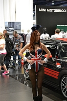 image-SEMA-2014-DSC_0496.JPG
