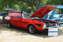 image-Summer-Showdown-2014DSC07313.JPG