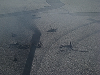 images-The-Gathering-2013Gathering-2013 (241).JPG